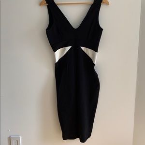 Easel form fitting dress
